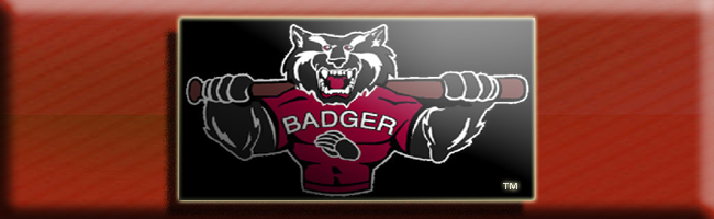 Badger Baseball Logo